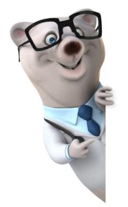 bear, doctor, 3d